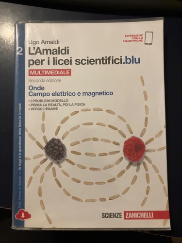 Amaldi per licei - l'amaldi, i