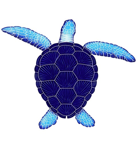 Loggerhead tartaruga blu - tartaruga,