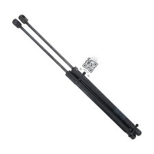 Coppia Pistoni Portellone