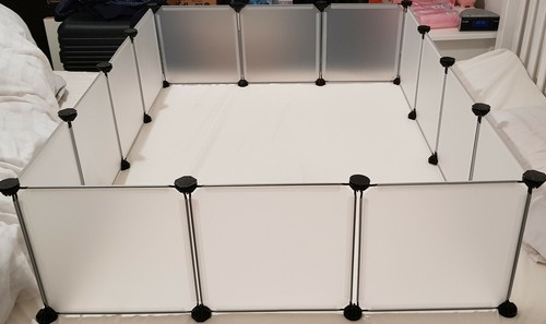 Gabbia corsa porcellino - gabbia,