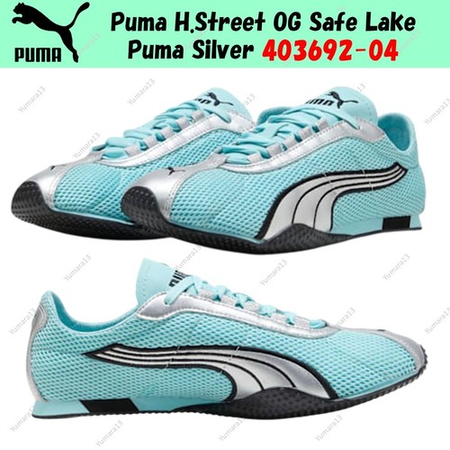 Puma street safe - puma, lake