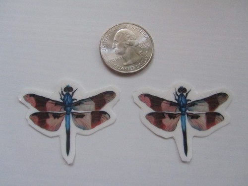 Tatuaggi temporanei set di 2 - tatuaggi,