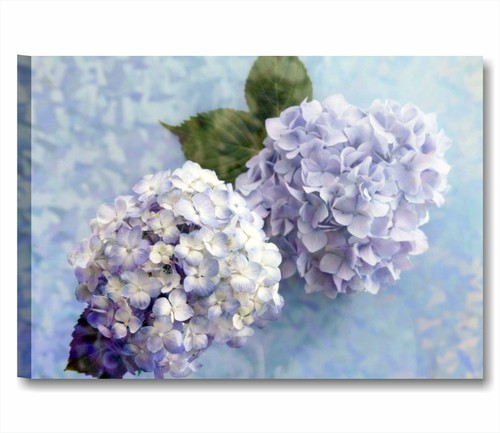 Ortensie vintage quadro su - vintage, 1