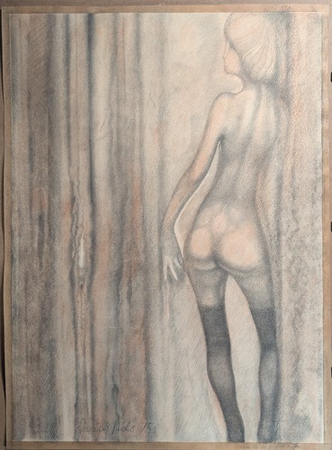 Daniel fuchs nudo dorso - daniel,