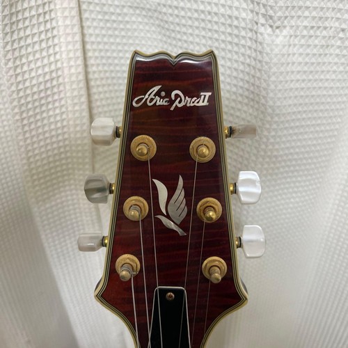 Aria pro chitarra - pro, elettrica