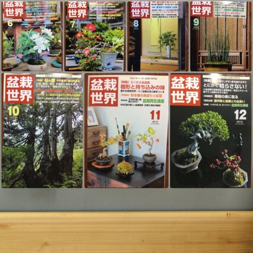Bonsai world 2013 vols - bonsai,