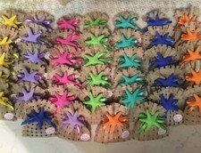 20 Bomboniera Stella Marina