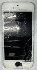 Apple iPhone 5S Gray Screen