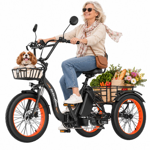 Bici elettrica pieghevole - bici,