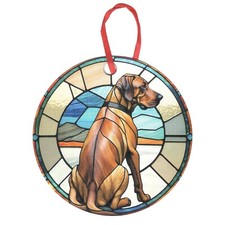 Rhodesian Ridgeback Sitting
