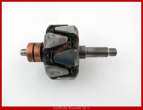 Rotore indotto alternatore 12v - indotto,