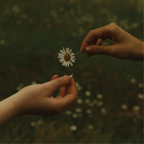 Goldmund the time - time, takes