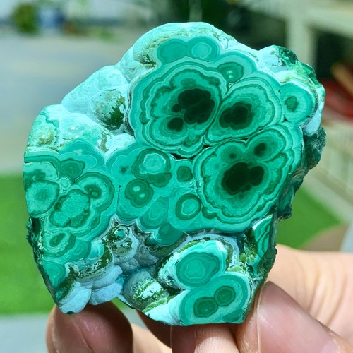 75g malachite lucida - 75g,