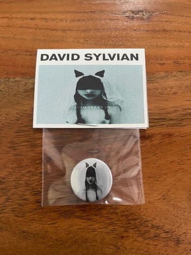 David sylvian sleepwalkers - david,