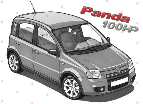 Fiat panda 100hp cuadro - panda,