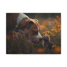 Pit Bull Cane e Gattino