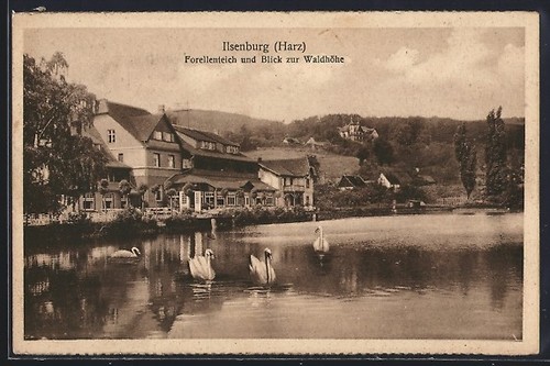 Ilsenburg resina laghetto - ilsenburg, /