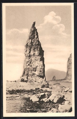 Cartolina undir hesti - undir,