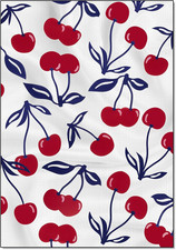 Strofinacci Riutilizzabili per