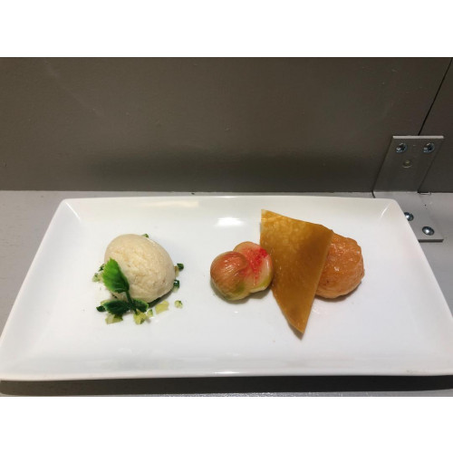 Bellissimo campione cibo