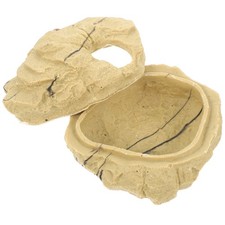 Geco leopardo grotta rettile