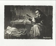 101252 stradivarius stradivari - stradivarius,