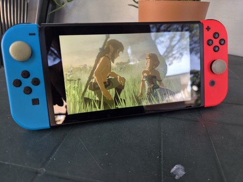 Nintendo switch hac - nintendo,