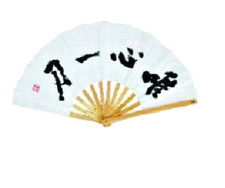 VENTAGLIO CINESE KUNG FU TAI