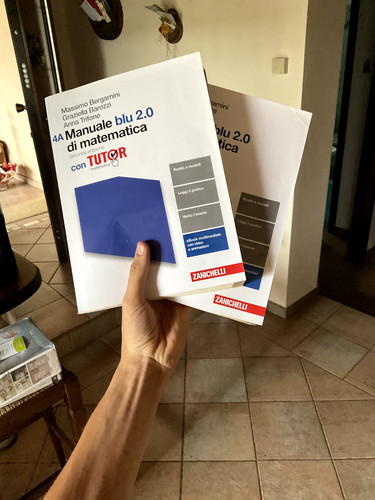 Manuale blu di - 2.0, matematica