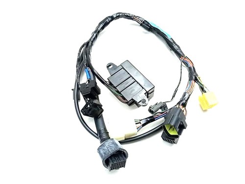 Cablaggio strumento instrument - cablaggio,