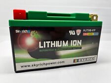 Rotax Max SkyRich batteria