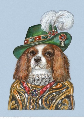 Cavalier king charles spaniel - cavalier,