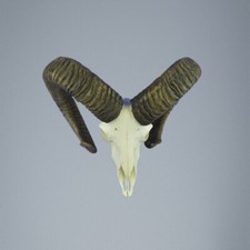 778mu trofeo caccia di - 778mu,