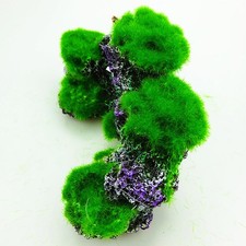  Sassi Acquario Muschio Decorazione in Resina Del Serbatoio Pesce