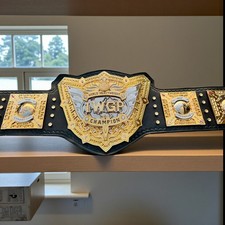 Cintura per adulti premium