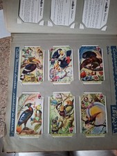 FIGURINE LAVAZZA SERIE 32-UCCELLI ESOTICI-OTTIME CONDIZIONI