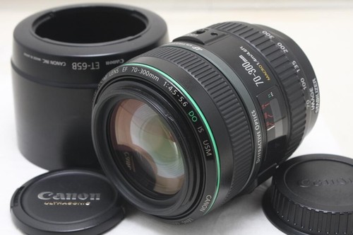 Canon 300mm 5 - canon, do