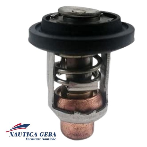 Termostato motore marino per