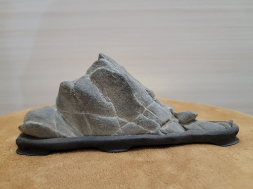 Roccia bonsai giapponese - , a