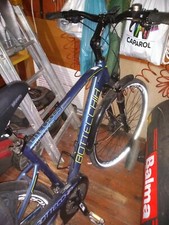 Bicicletta city bike - bicicletta,