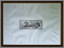 Acquaforte P. A. gatti e pesci  Giulio Ruffini Villanova di Bagnacavallo Ravenna