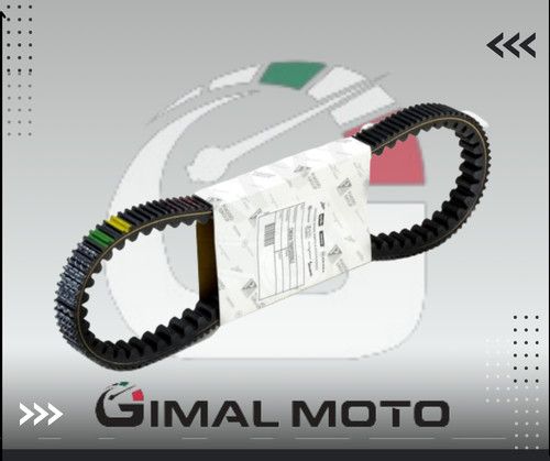 Cinghia trasmissione ogiginale - cinghia,