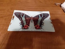piatto decorazione farfalla