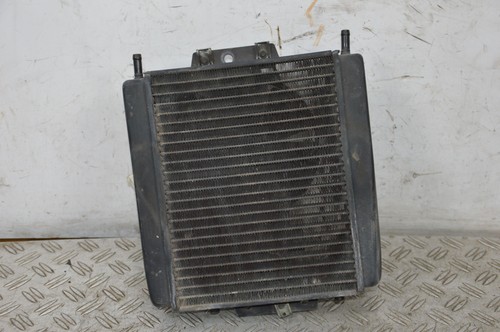 79026 radiatore - radiatore, +