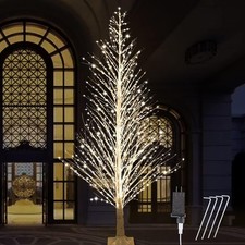 Albero di betulla illuminato 7