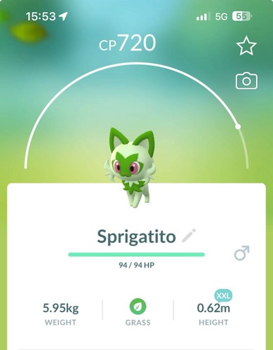 Sprigatito xxl pokestop - sprigatito,