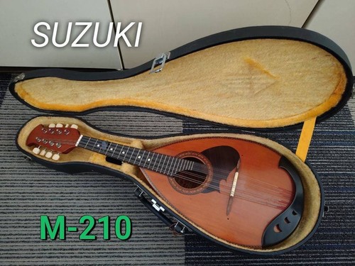 Suzuki mandolino 210 - mandolino, m-210