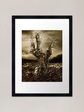 Quadro stampa su tela poster