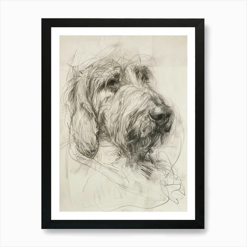 Grand basset griffon vendeen - griffon,