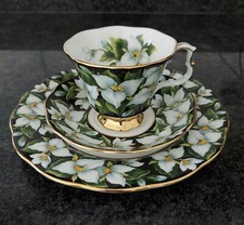 Royal albert provincial - royal,